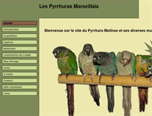 Tablet Screenshot of lespyrrhurasmarseillais.com